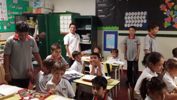 Primaria (6)