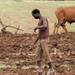 africa-farming-006