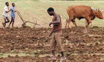 africa-farming-006